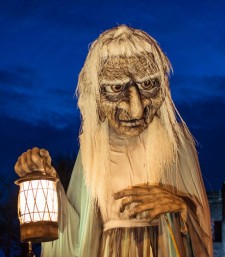 Deadline extended: Macnas seeks Chief Operating Officer Deadline extended: Macnas seeks Chief Operating Officer